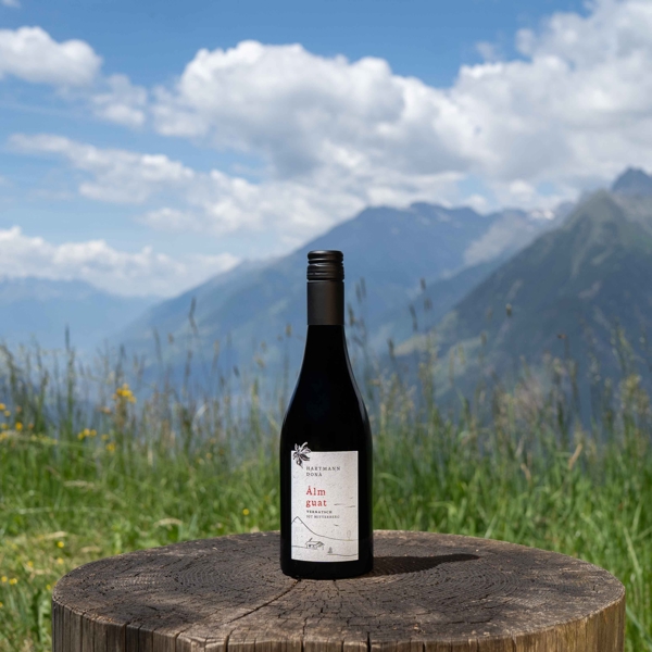 Immagine di Alm guat Schiava 2024